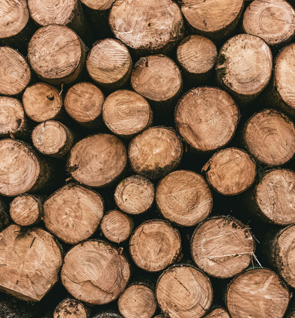 Forstwirtschaft & Holzernte​