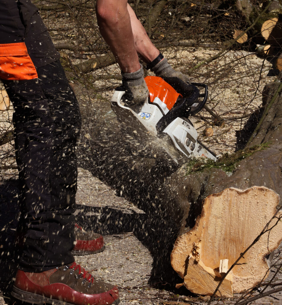 Holzhandel & Naturprodukte​